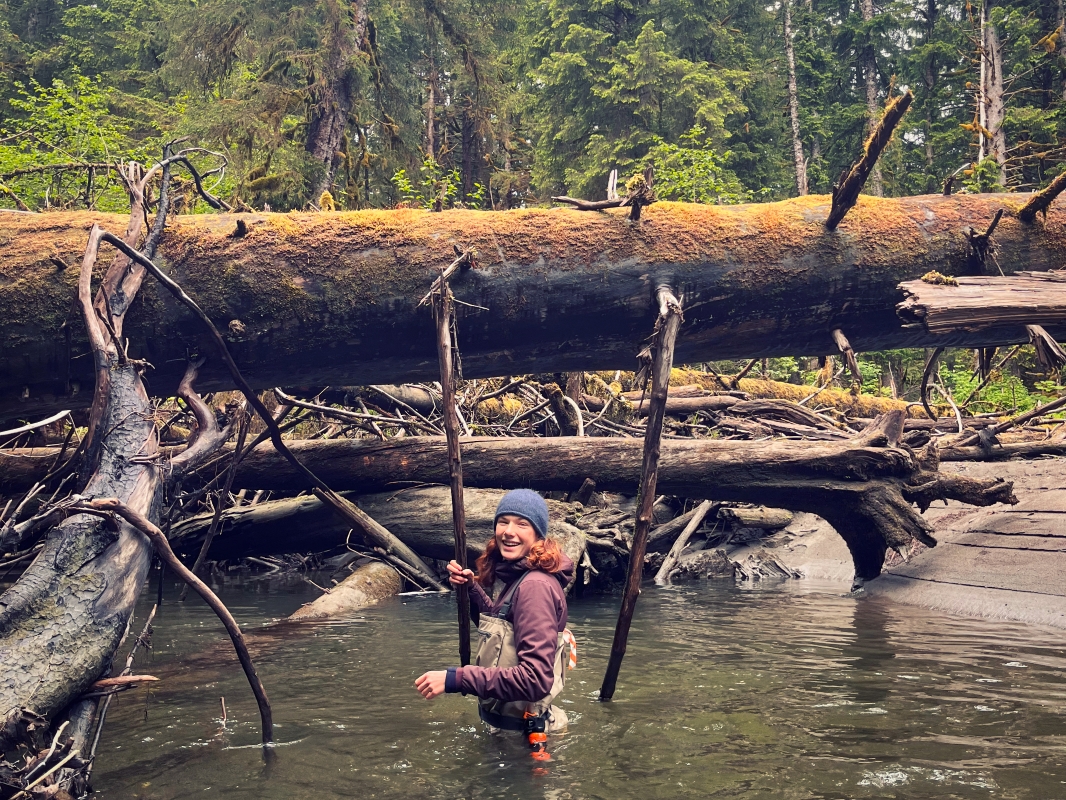 Annika standing hip deap in a stream in front of a large fallen tree
