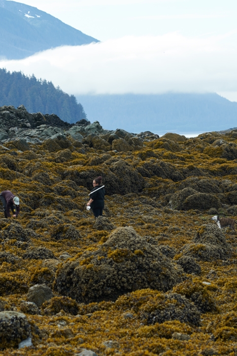two people stand in an intertidal zone near mountains on a foggy day