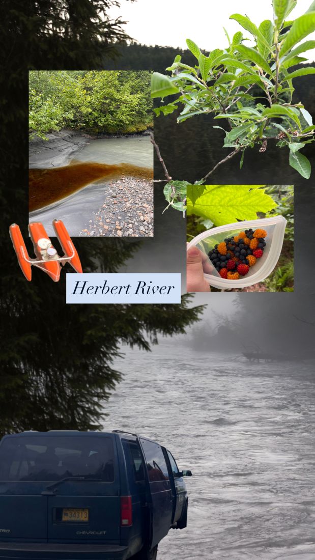 Collage of Herbert river photos