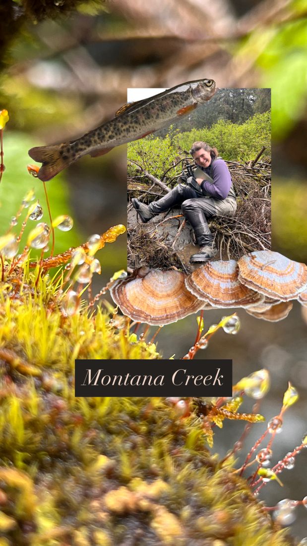 Collage of Montana Creek photos
