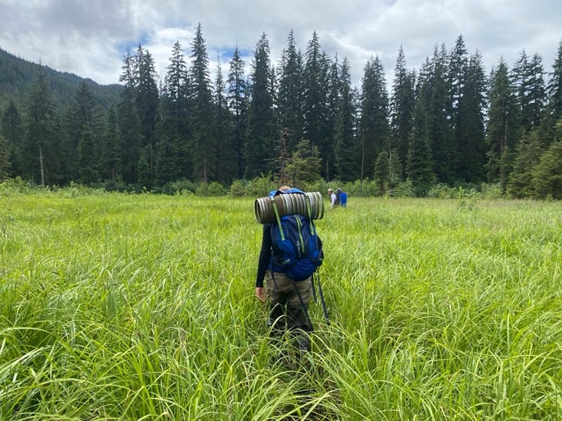 a woman hiking through tall marsh grass with large backpack