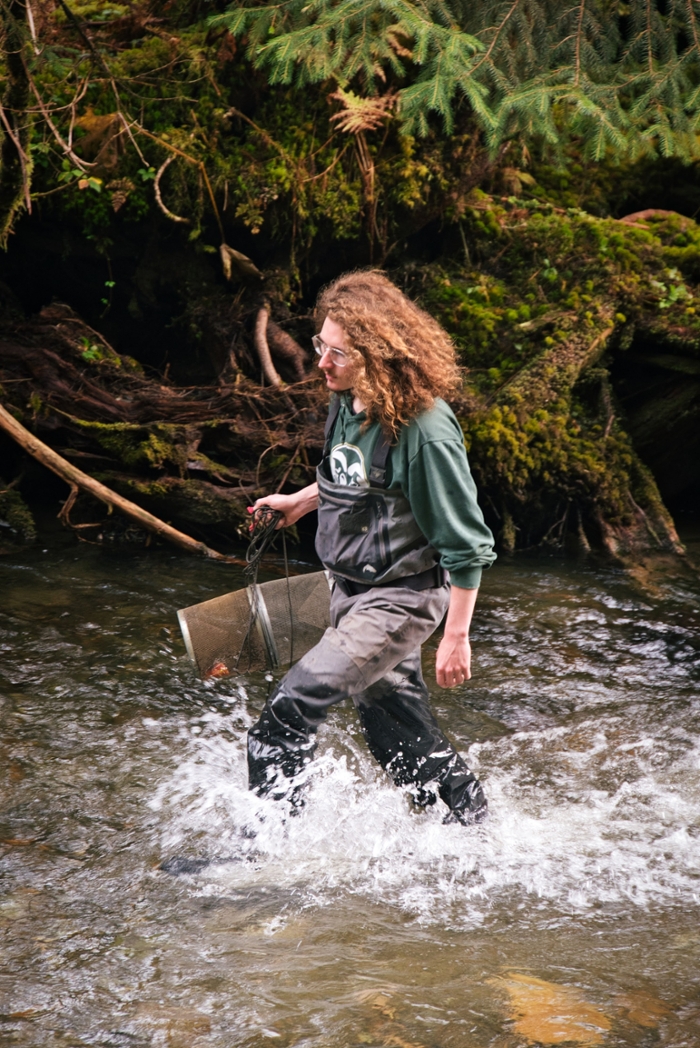 a man in waders walks up a stream in the forest holding a wire basket trap