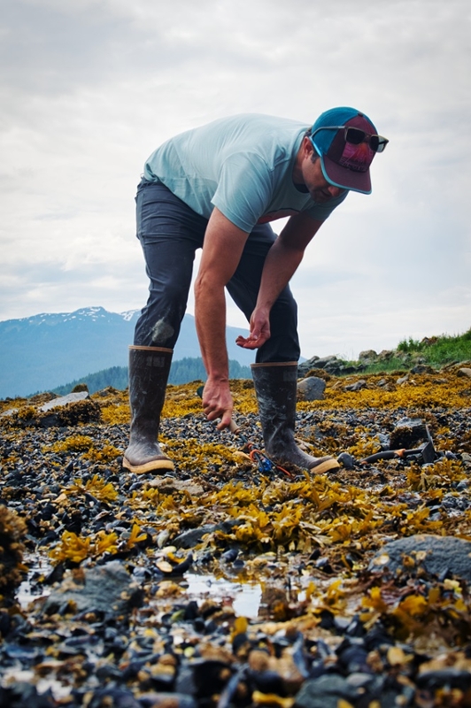 a man using a hand rake to dig into a beach covered in rocks and muscles