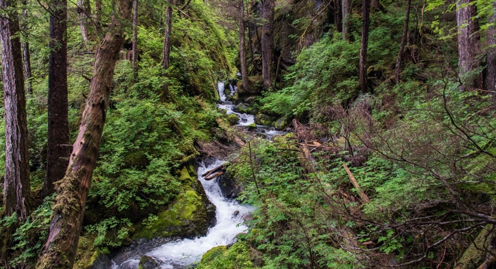 Sitka Stream