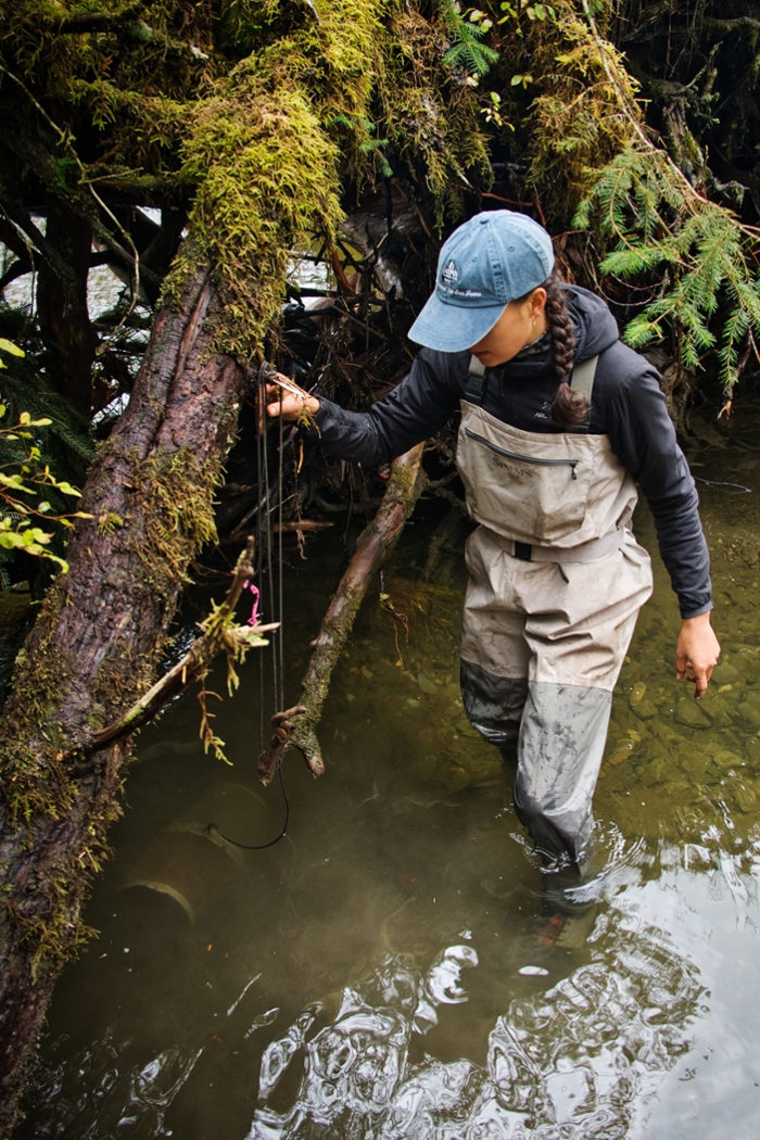 a woman in waders stands in a river near a log holding a wire