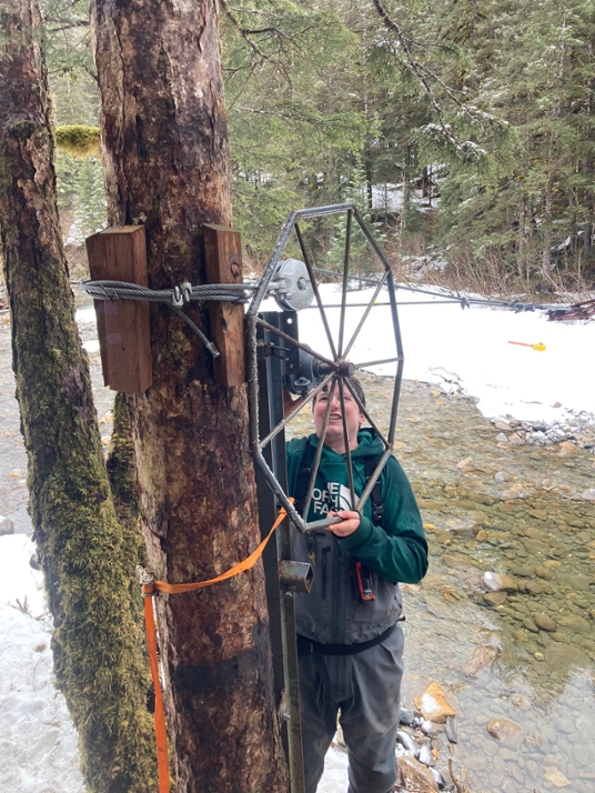 a person adjusts equipment on a tree near a river