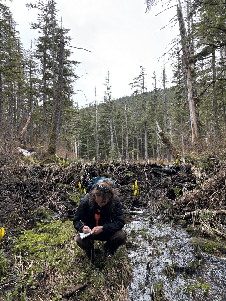 Sydney Jones takes a sample from a stream