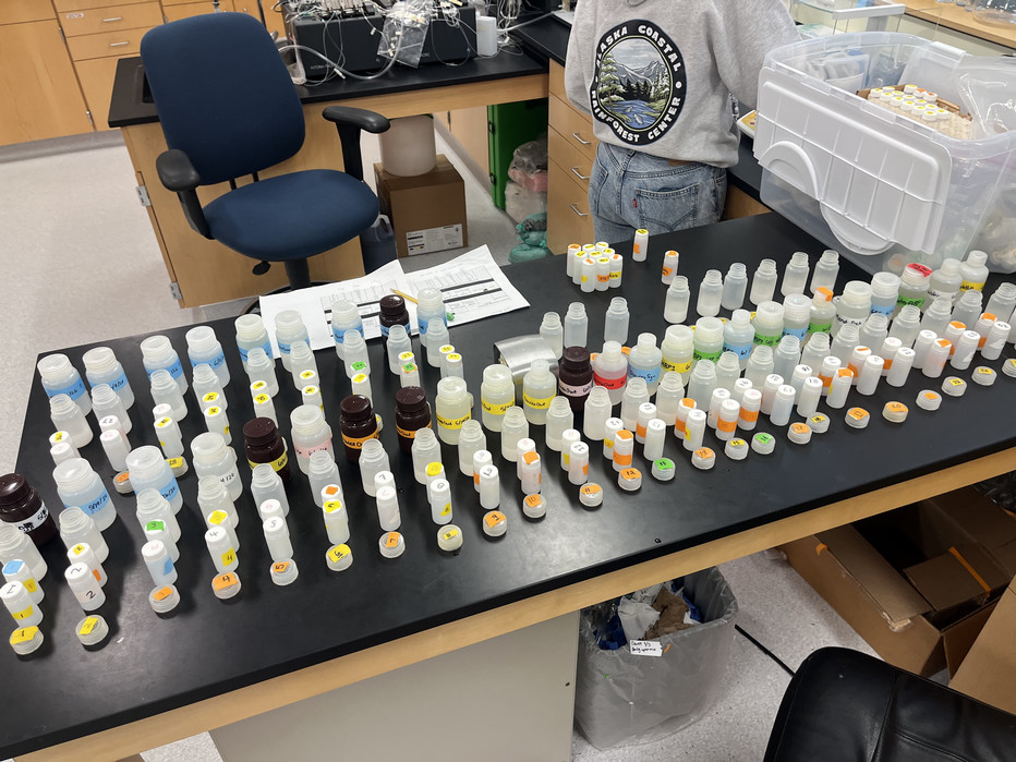 Labelled bottles and lids rest on a lab bench filled with water samples.