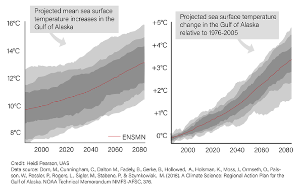 graph showing the projected mean sea surface temperature in the gulf of Alaska and the projected sea surface change in temperature compared to 1976 to 2005