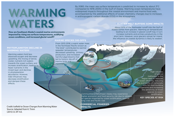 graphic showing how southeast Alaska's coastal environments are impacted by warming waters including phytoplankton decline, marine species die offs, glacier melt buffering impacts, key species at risk, and commercial fisheries impacts.