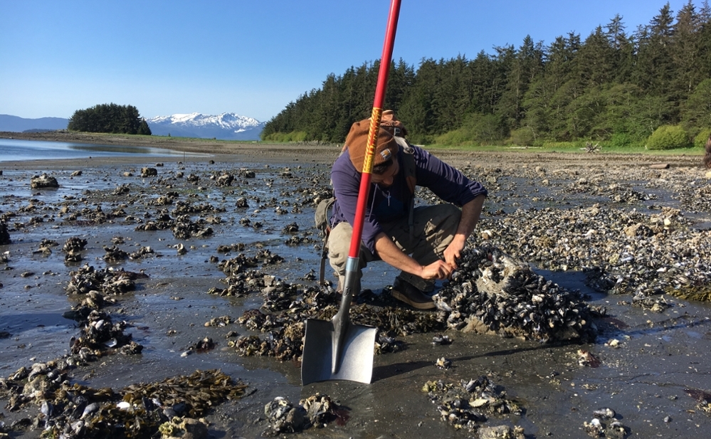 Shellfish Sampling Auke Rec