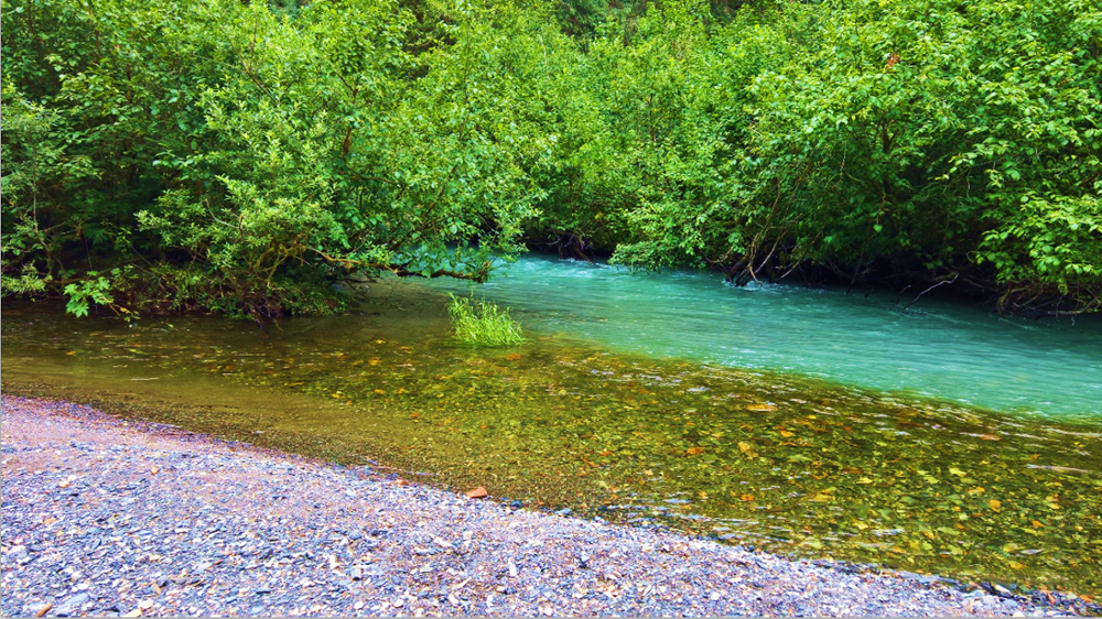 Montana Confluence